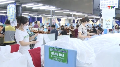 Bản tin Thời sự tối 1/11/2025